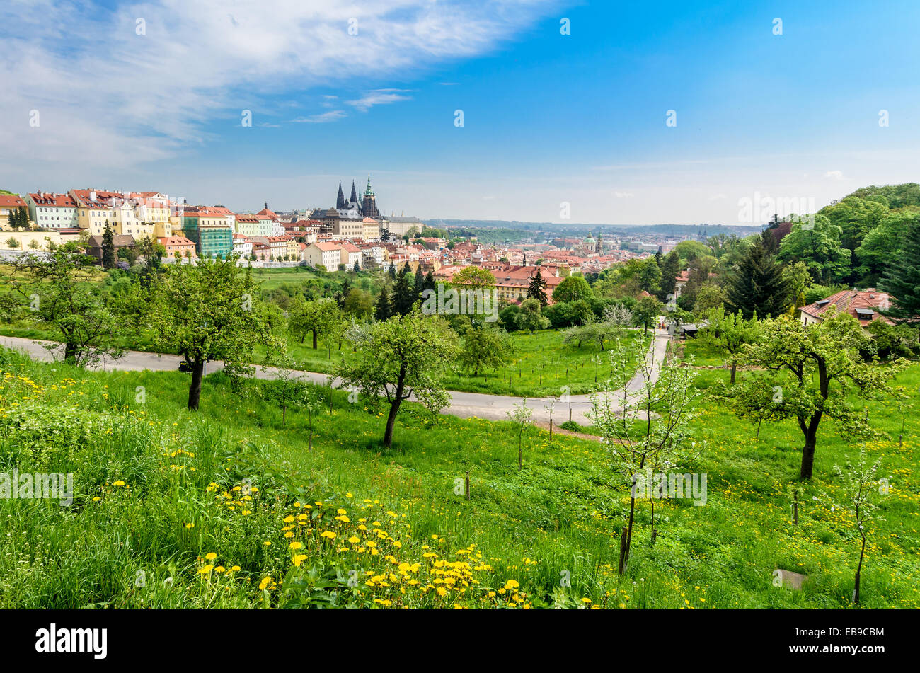 Herrliche Sicht über das Praha mit St. Veits-Dom und Prager Burg, Tschechische Republik. Stockfoto