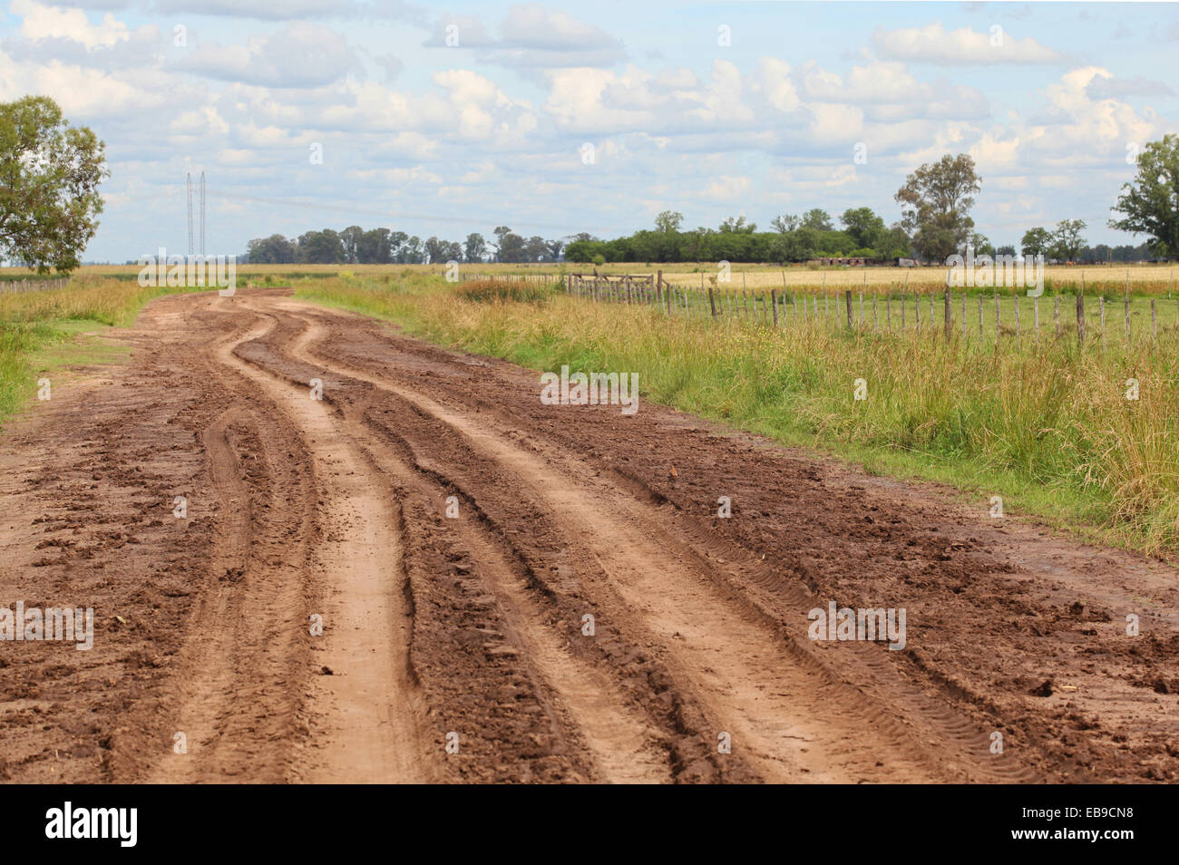 Feldweg in der argentinischen Pampa. Stockfoto