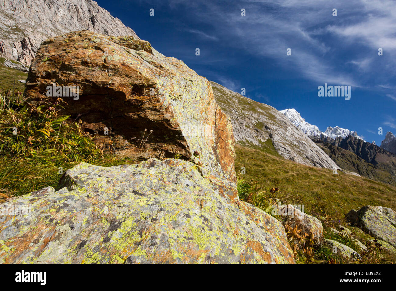 Flechten Sie auf einem Felsblock auf der Tour de Montblanc im Vallon De La Lex Blanche in Italien unter Mont Blanc. Stockfoto Flechten Sie auf einem Felsblock auf der Tour de Montblanc im Vallon De La Lex Blanche in Italien unter Mont Blanc. Stockfoto