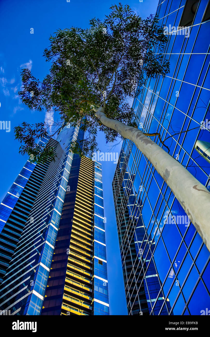 Eureka Tower und anderen herrlichen Glas-Wolkenkratzer ragen über lebendige blau, der Bezirk Southbank Melbourne Australien Stockfoto