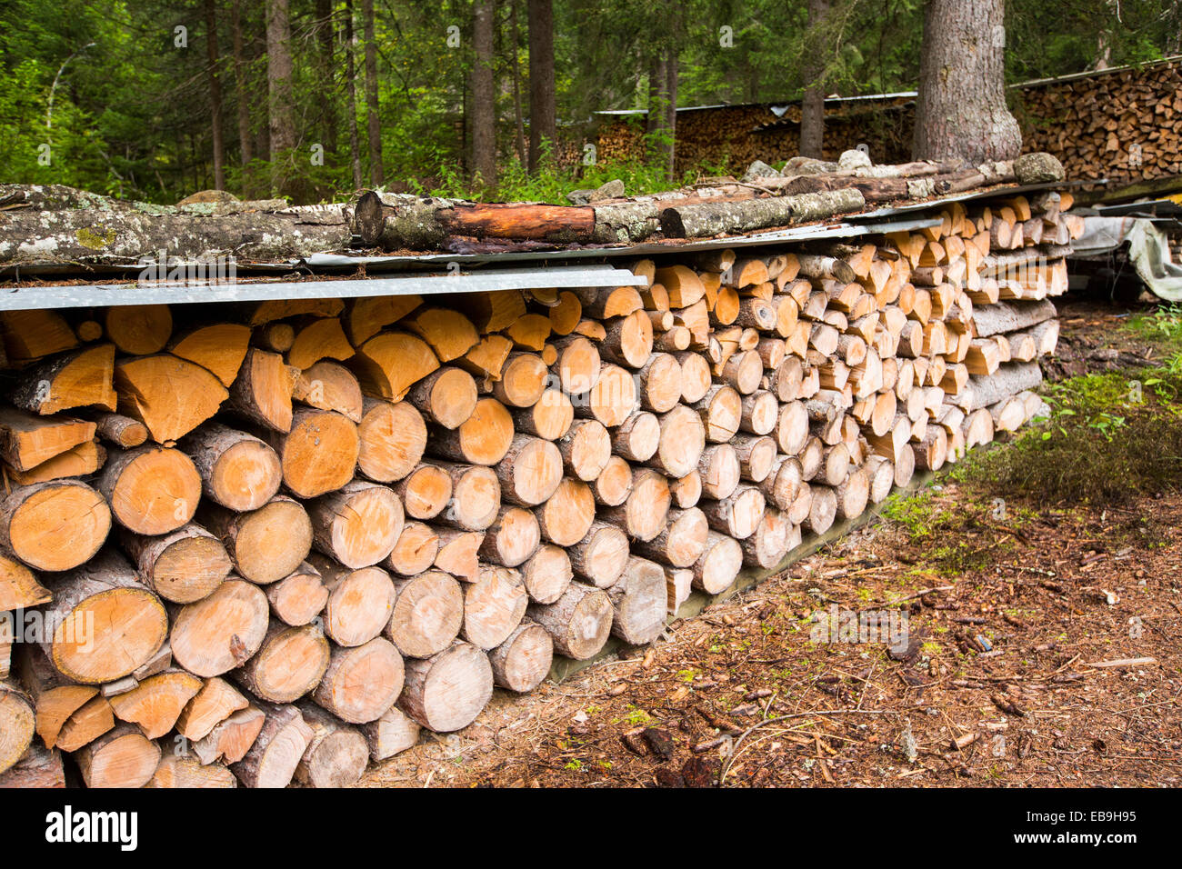 Holzschnitt zur Raumheizung Häuser, trocknen im Val Ferret in den Schweizer Alpen. Stockfoto