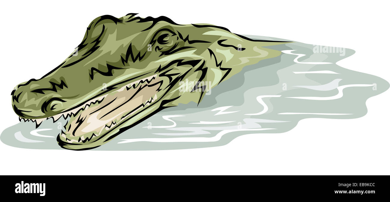 Krokodil clipart -Fotos und -Bildmaterial in hoher Auflösung – Alamy