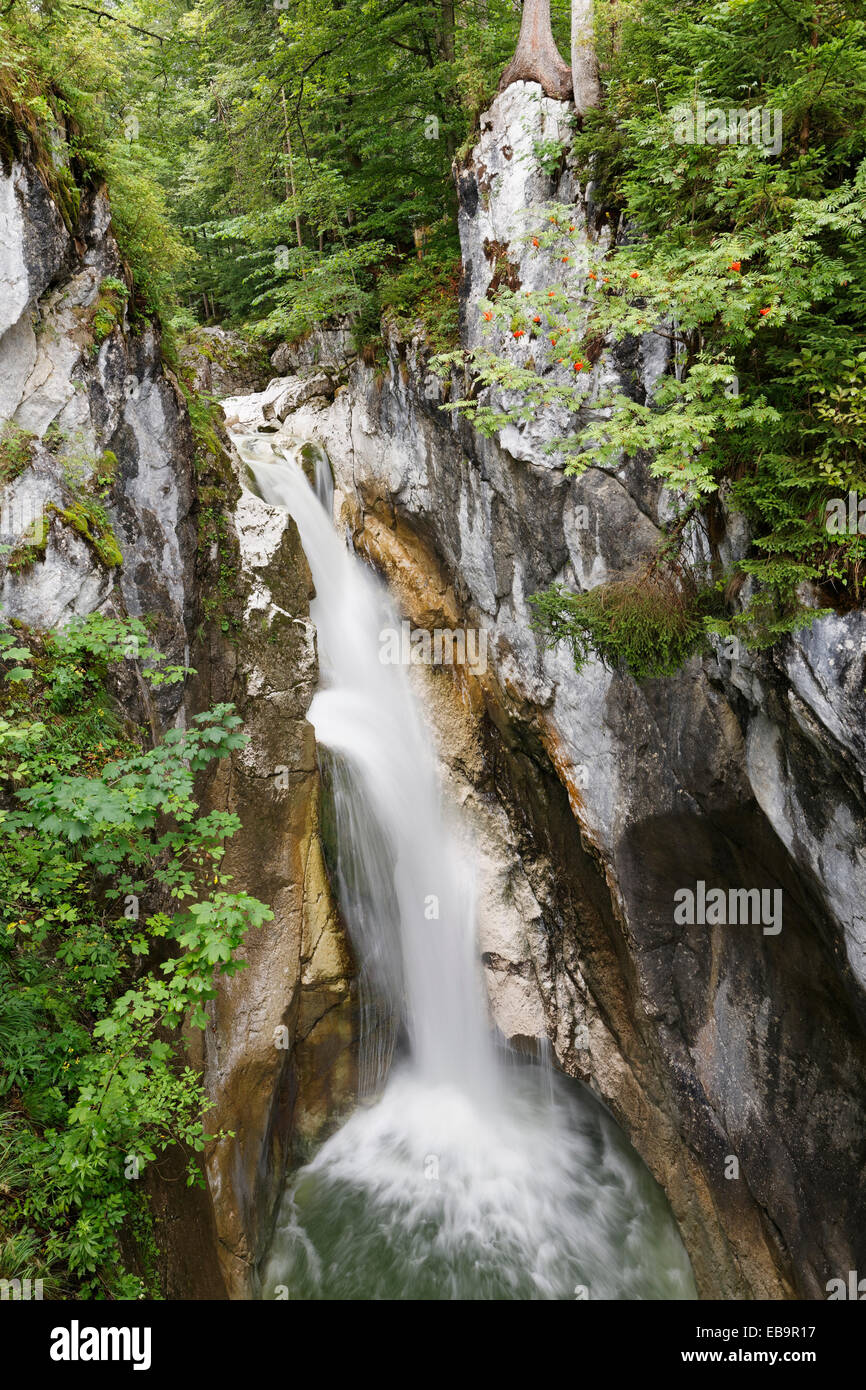 Tatzelwurm Wasserfall, OG, Oberaudorf, Mangfall Berge, Upper Bavaria, Bavaria, Germany Stockfoto