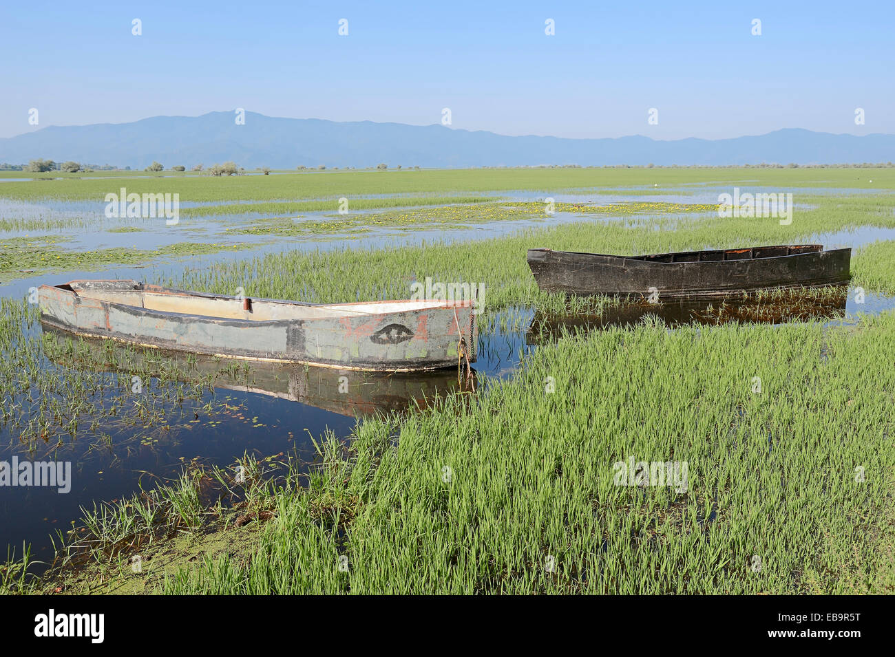 Angelboote/Fischerboote am Ufer des Lake Kerkini, See Kerkini, Zentralmakedonien, Griechenland Stockfoto