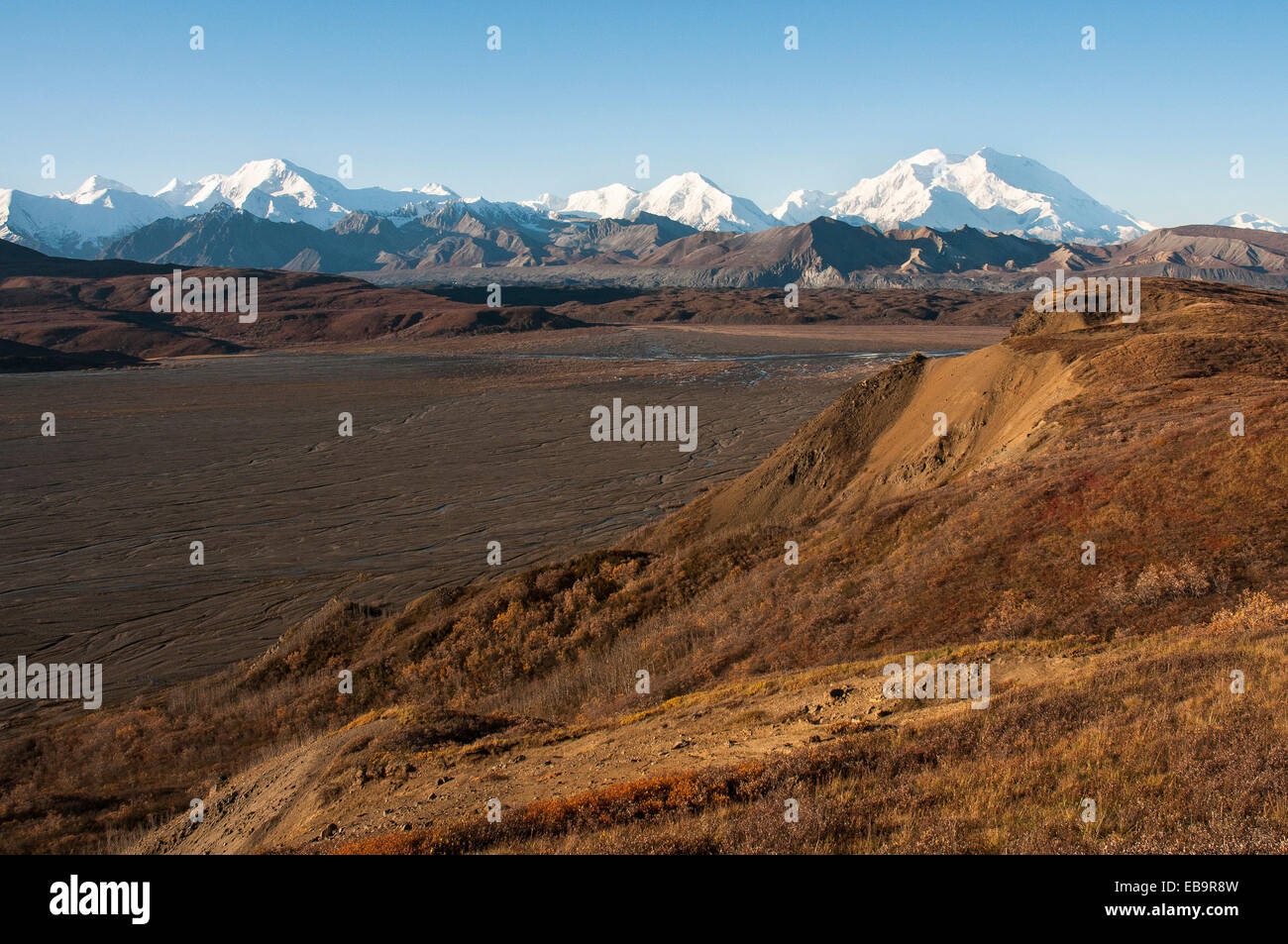 Alaska Range mit dem Mount McKinley, Denali National Park, Alaska, Vereinigte Staaten von Amerika Stockfoto