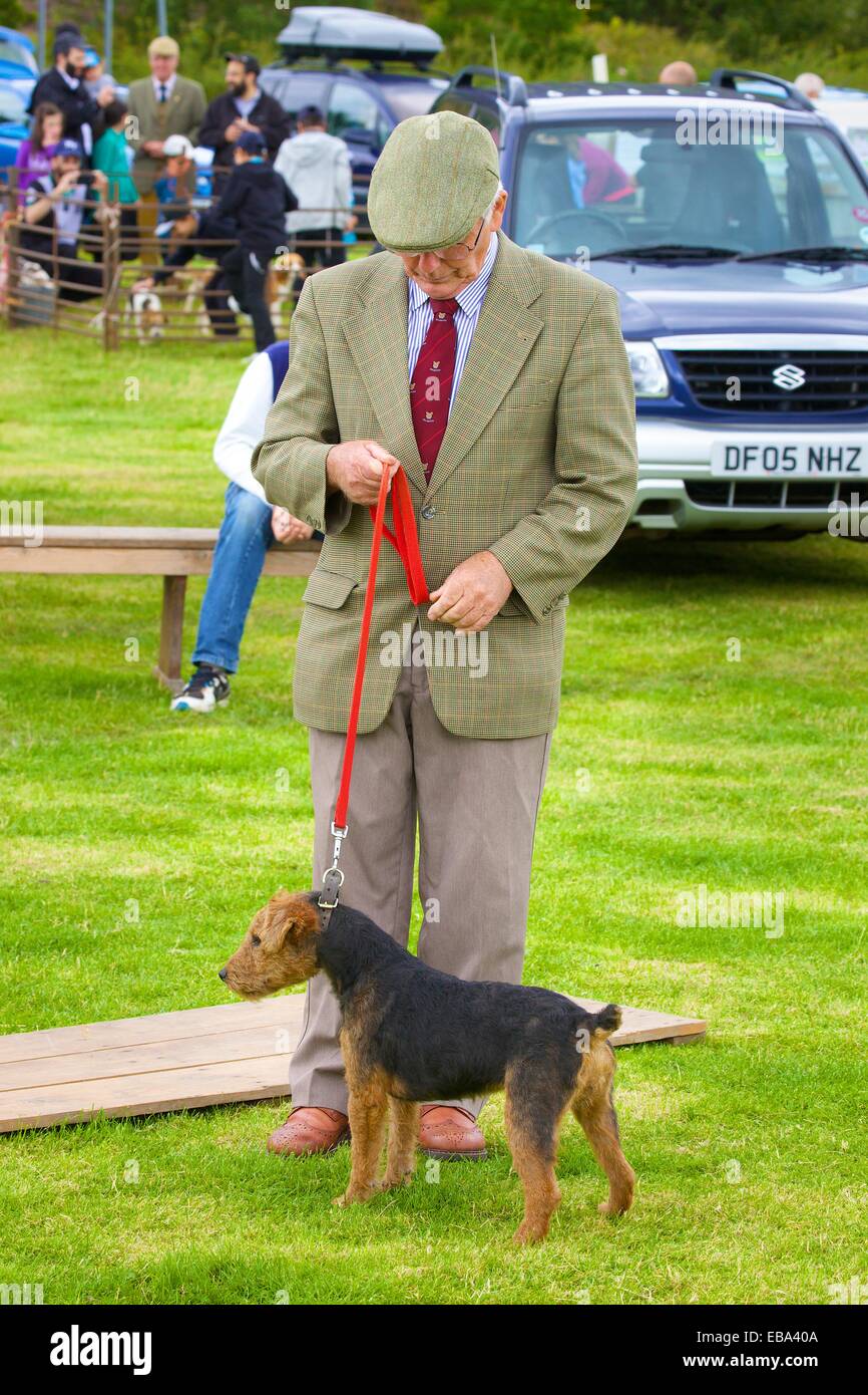 Mann zeigt Lakeland Terrier. Threlkeld Show, Threlkeld Keswick Seenplatte Cumbria England UK Stockfoto