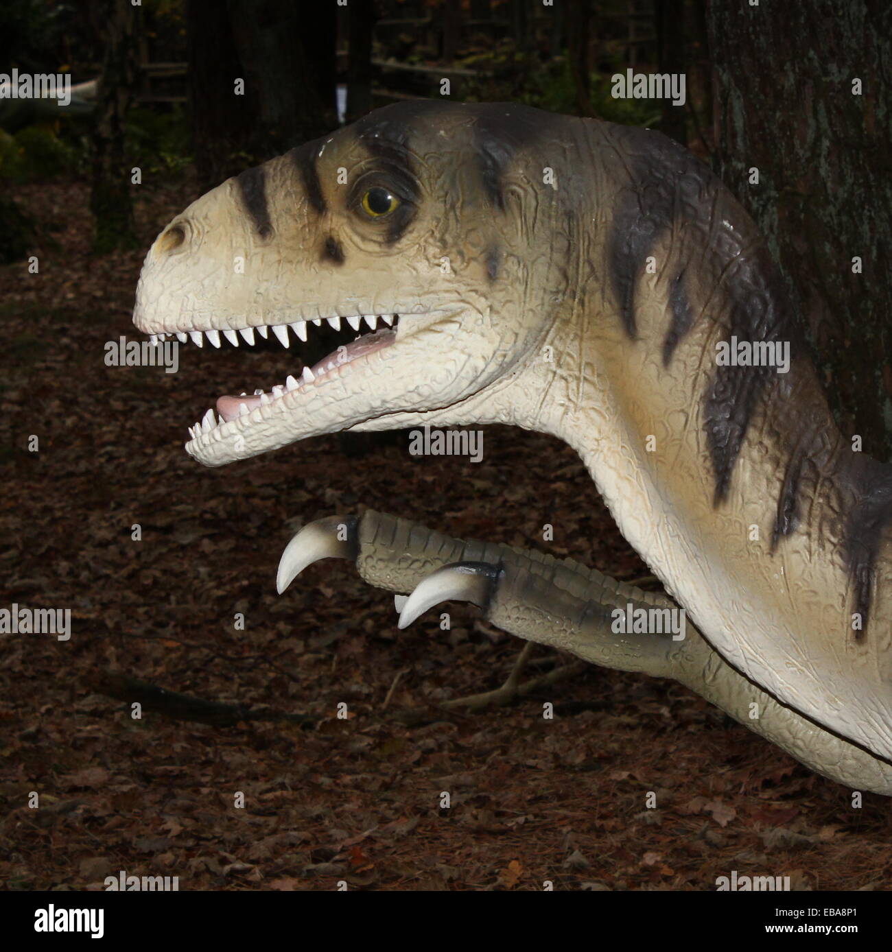 Deinonychus Dinosaurier (Kreidezeit Ära) über 30 Raubtierarten lebensechte Statuen im Dinopark Amersfoort Zoo, Niederlande. Stockfoto