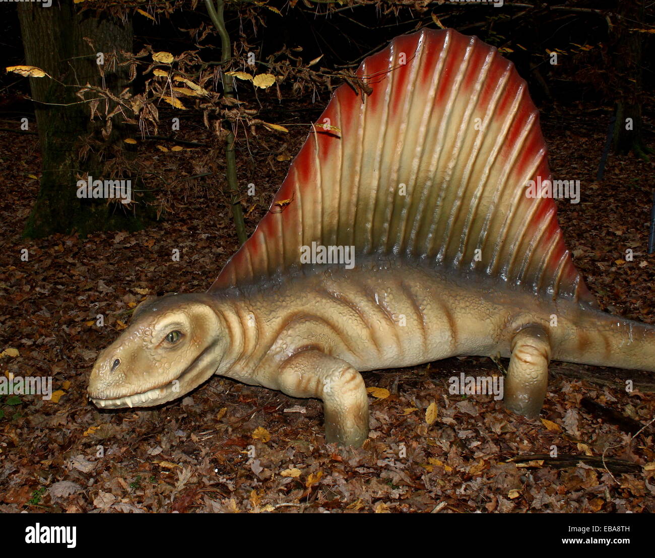 Dinosaur dinosaurs dino dimetrodon Fotos und Bildmaterial in hoher