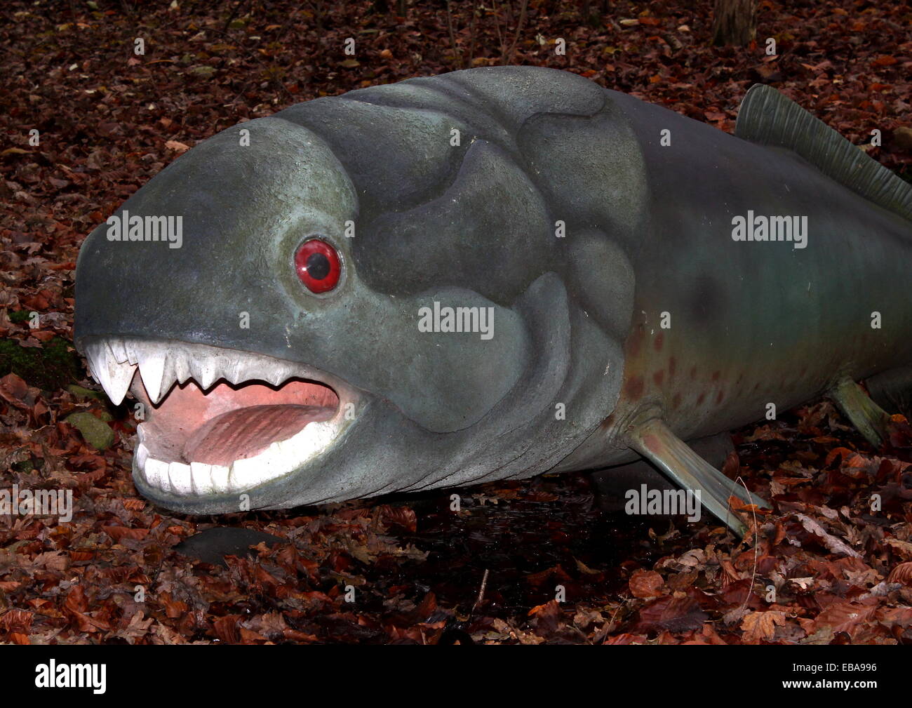 Modell der halbverdauter, eine Gattung der prähistorischen Fisch während der späten Devon Periode, vor etwa 380 Millionen Jahren bestehenden Stockfoto