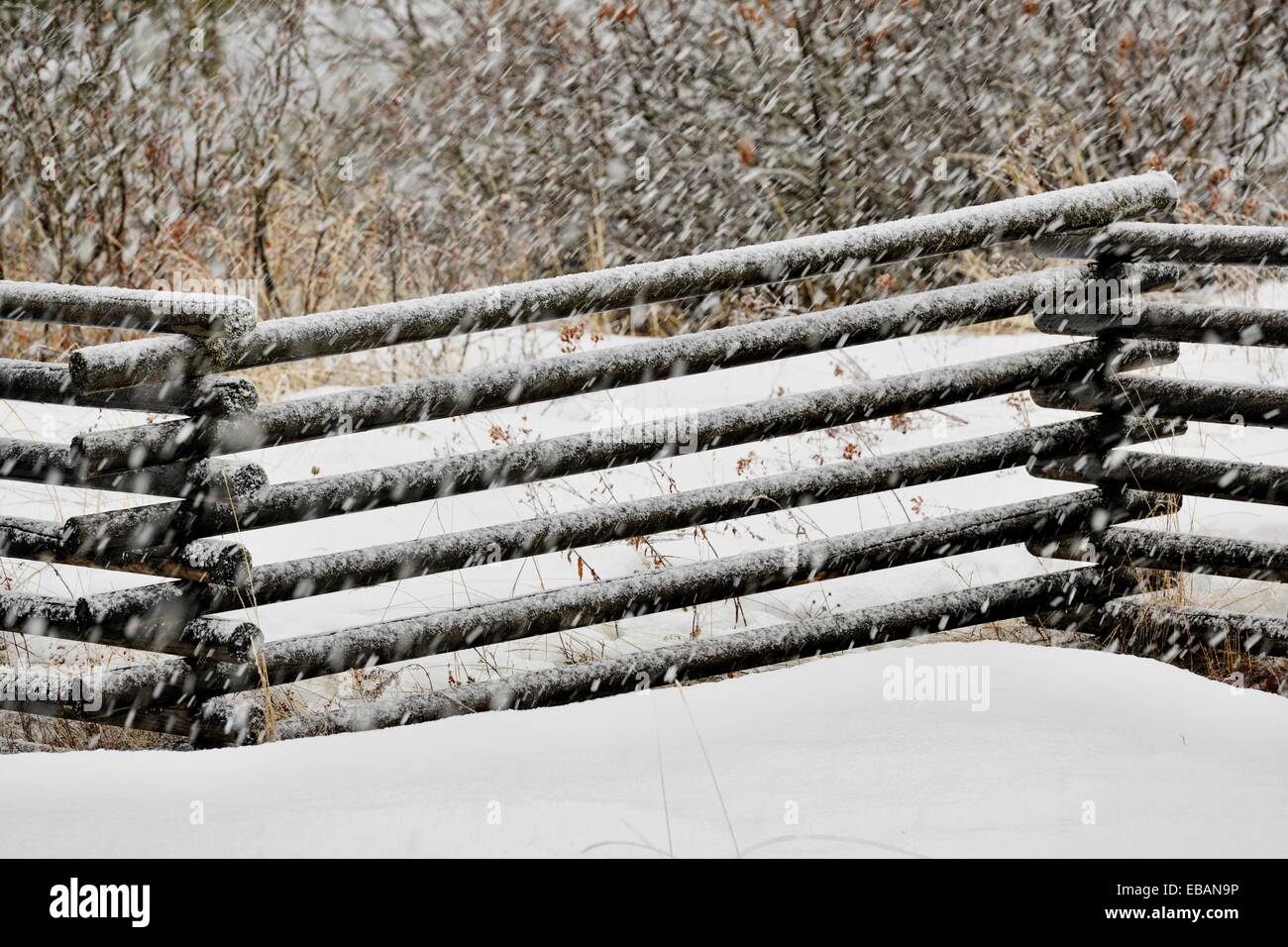 Frühling Schnee Sturm Nachmahd, Vernon, BC, Kanada Stockfoto