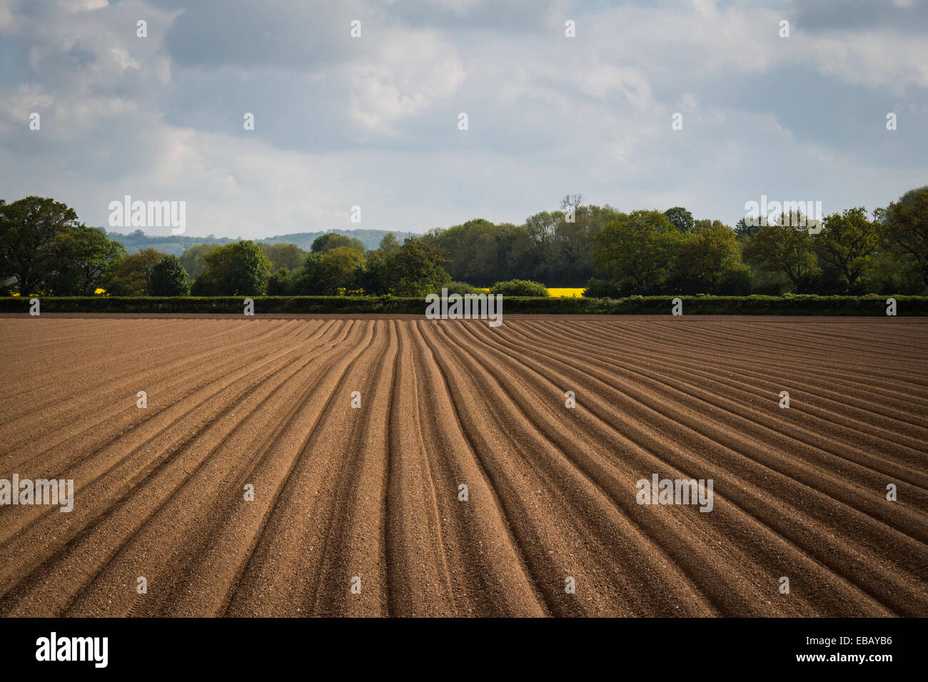 Ein auffallend gemusterte Acker. Stockfoto