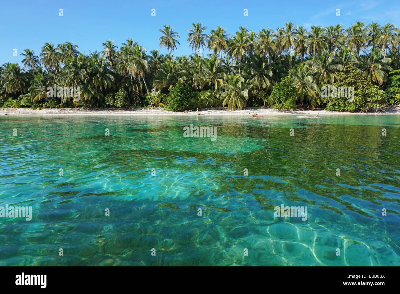 Karibik-Strand mit üppiger tropischer Vegetation und klarem Wasser, vom Meer aus gesehen Stockfoto