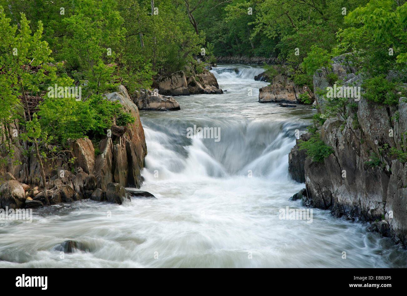 Wasserfälle am Potomac River, Chesapeake und Ohio Canal National Historic Park, Maryland USA Stockfoto