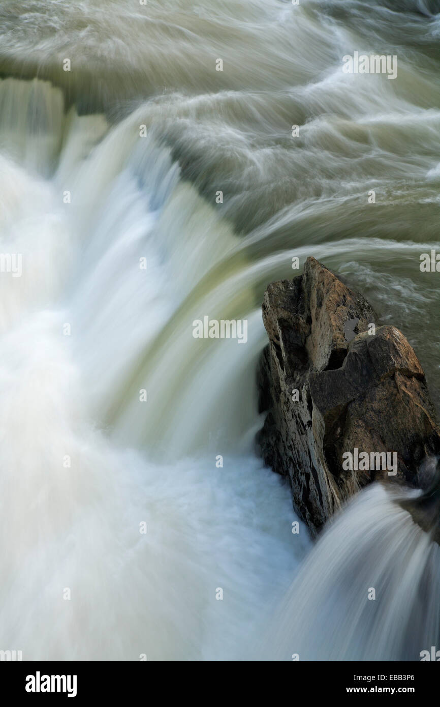Wasserfälle und Felsen am Potomac River, Chesapeake and Ohio Canal National Historic Park, Maryland USA Stockfoto