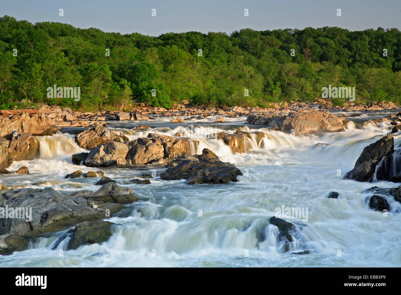 Wasserfälle und Felsen am Potomac River von Chesapeake and Ohio Canal National Historic Park, Maryland USA Stockfoto