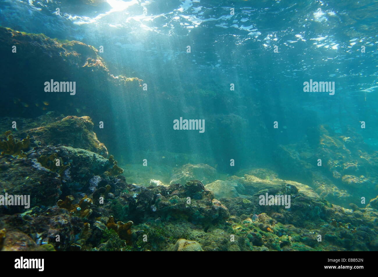 Unterwasser Sonnenstrahlen durch die Wasseroberfläche aus dem Meeresboden auf ein Riff auf das Karibische Meer, natürliche Szene betrachtet Stockfoto