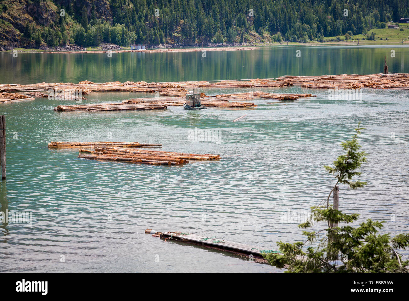 Protokollierung auf dem Upper Arrow Lake, British Columbia, Kanada, Nordamerika. Stockfoto