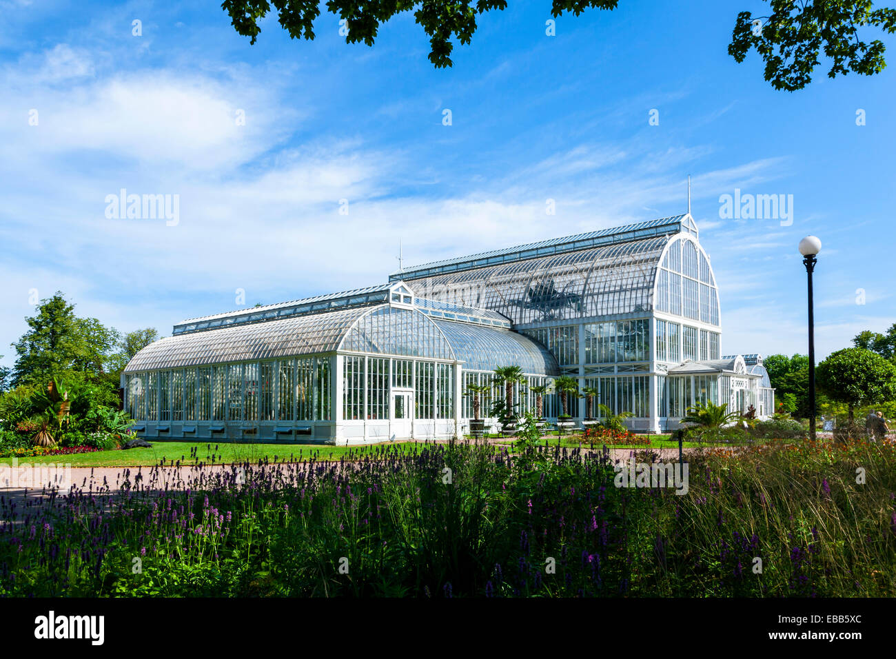 Schweden Garten Gesellschaft von Göteborg Palmenhaus Stockfoto