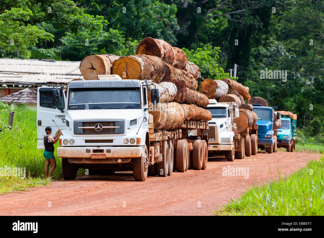 Brasilien Amazonas Regenwald Protokollierung LKW mit Holz Stockfoto