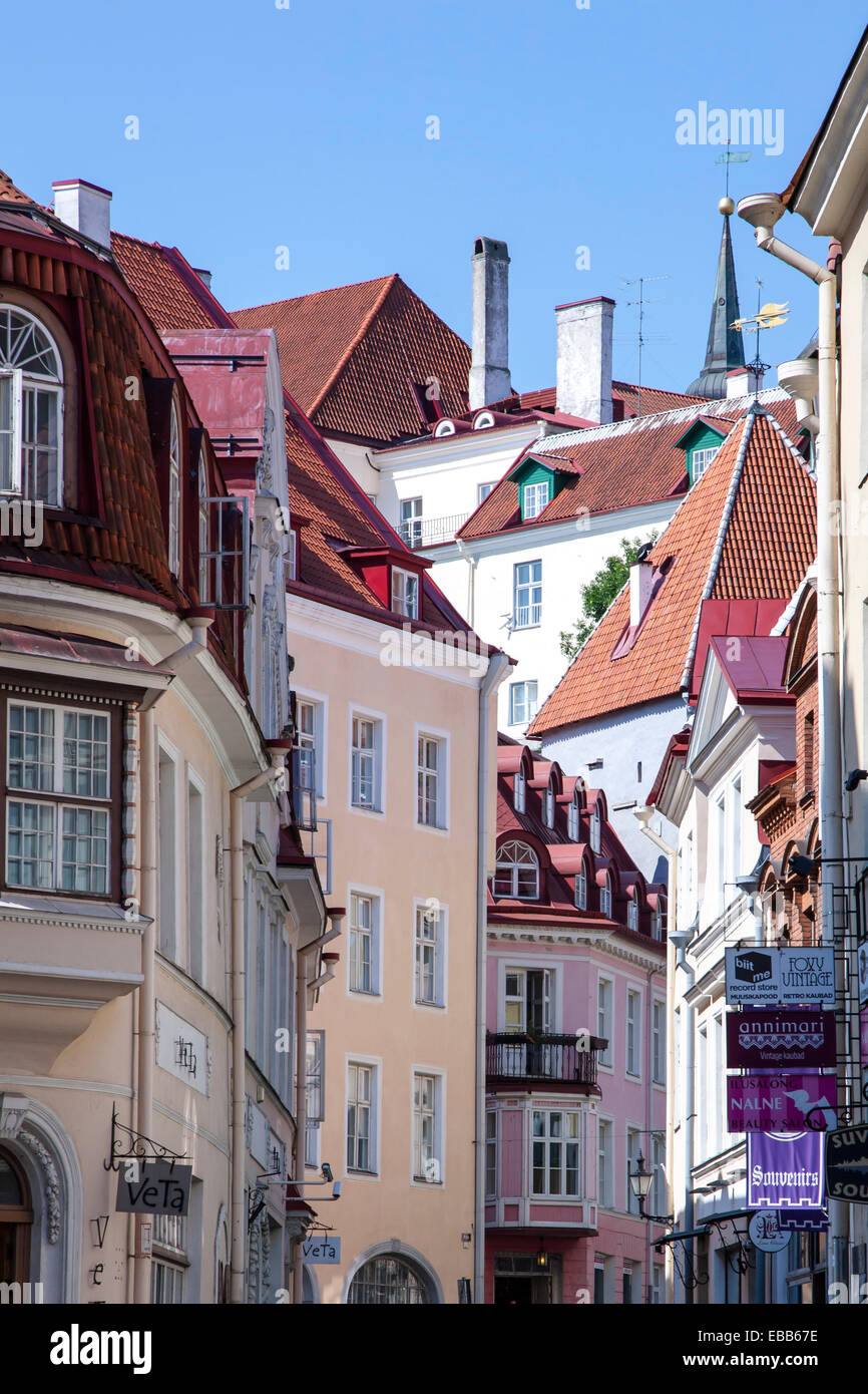 Estland Tallinn Altstadt Stockfoto