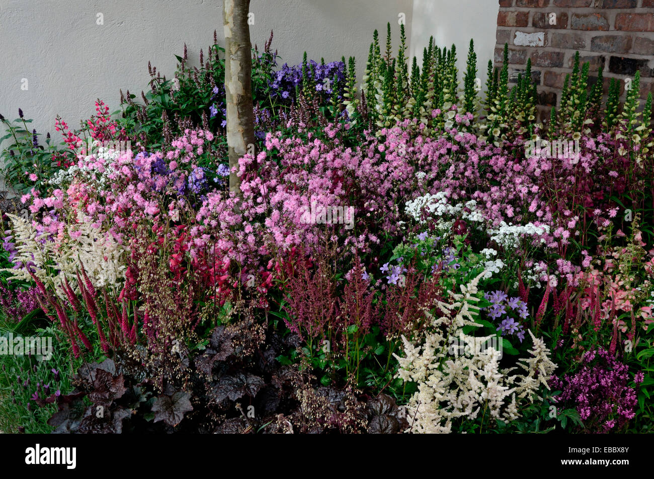 Volle und bunte Blumen in einem modernen Garten Stockfoto