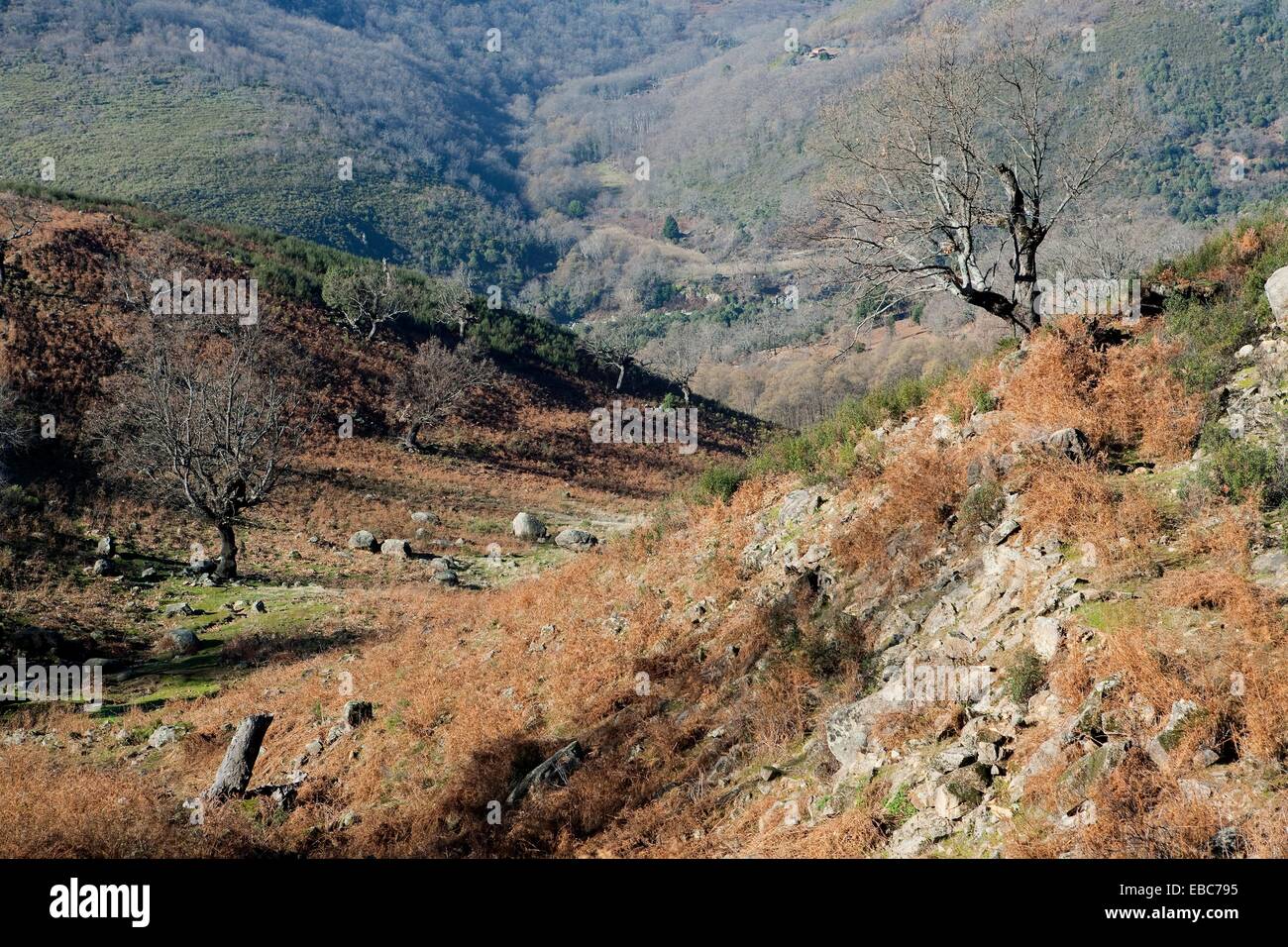 Parque natural de granito garganta Fotos und Bildmaterial in hoher