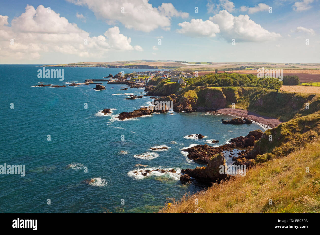 Das Dorf St. Abbs aus St. Abbs Head Stockfoto