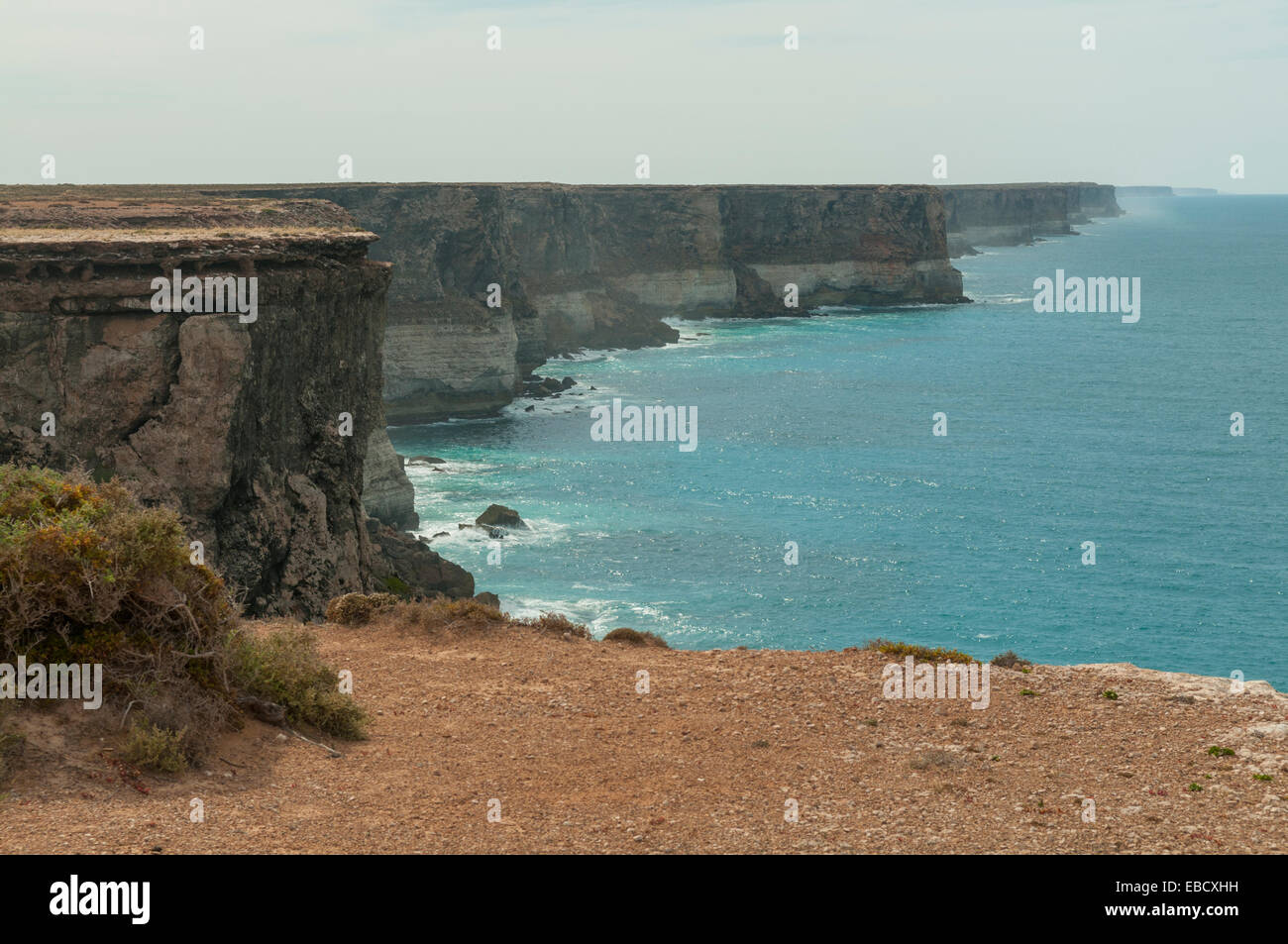 Klippen am Great Australian Bight, SA, Australien Stockfoto
