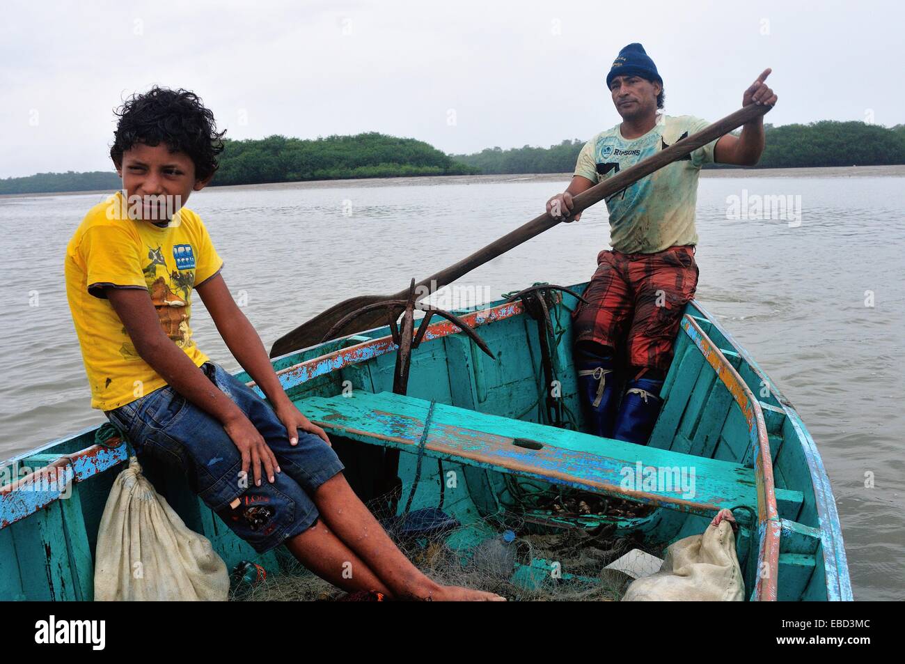 Schwarze Muscheln Picker - Mangroven in PUERTO PIZARRO. Abteilung von Tumbes. Peru Stockfoto