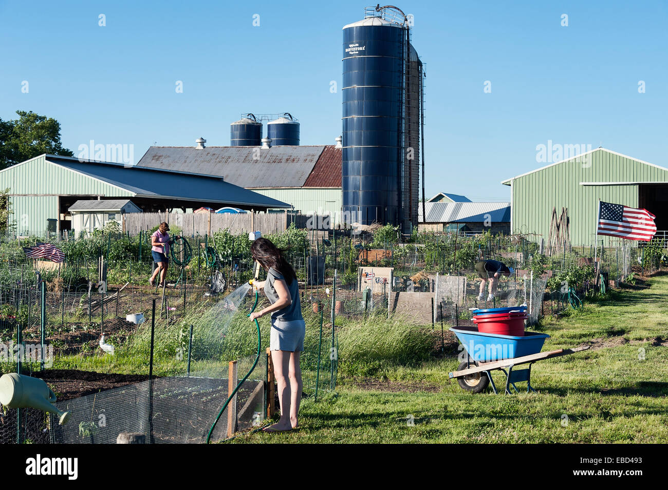 Frau, die ihr Grundstück in einen gemeinsamen Garten Bewässerung. Stockfoto