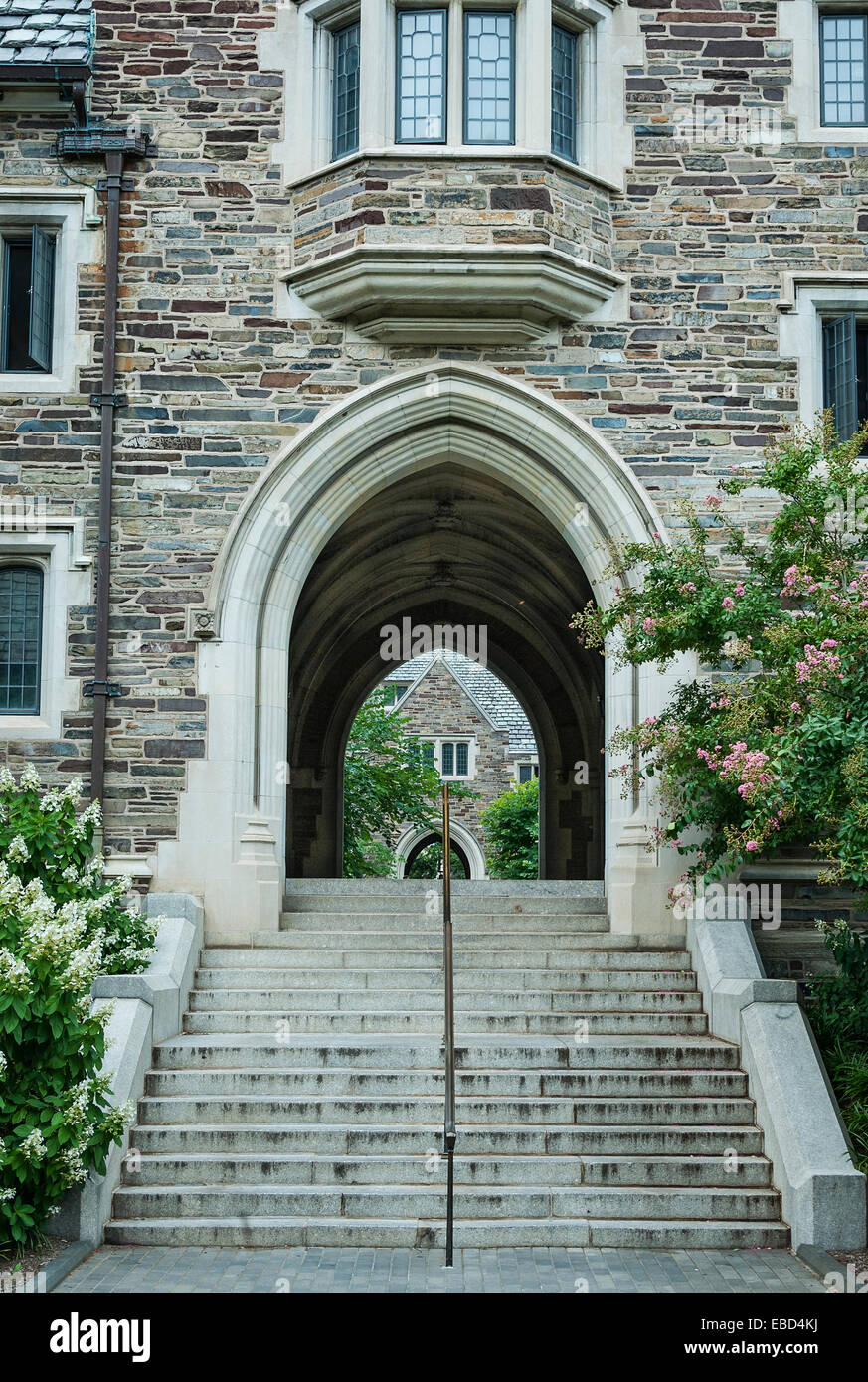 Campus der Universität Princeton, New Jersey, USA Stockfoto