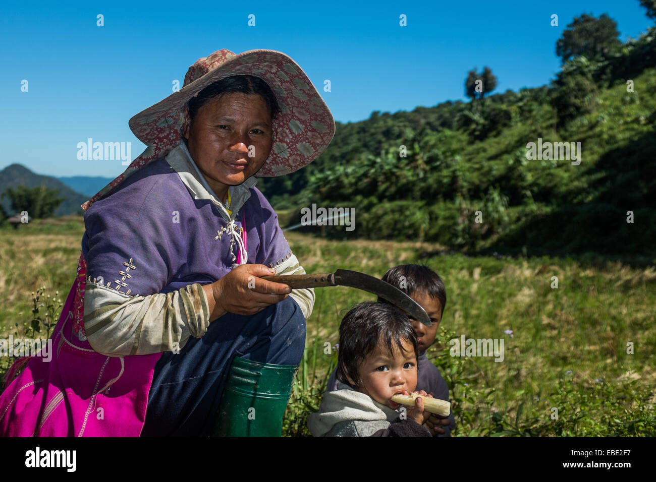 Karen Hill Tribes Frau, die eine Pause vom schneiden Zuckerrohr Stockfoto