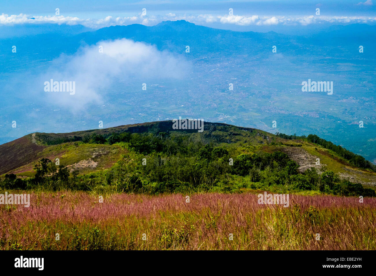 Die Caldera des Vulkans Mount Guntur, West-Java, Indonesien. Stockfoto