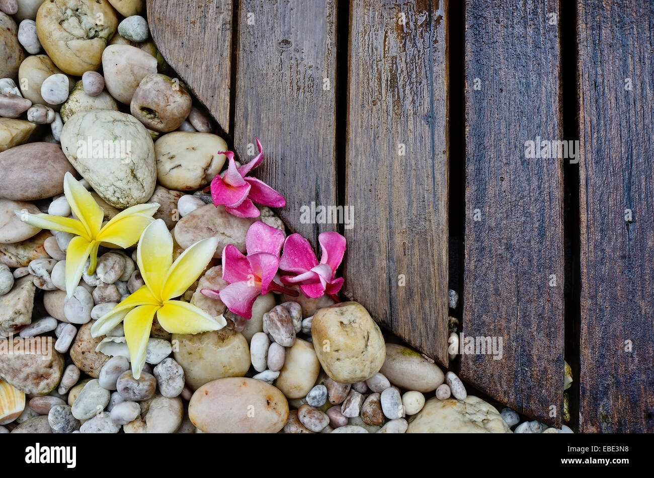 Alten hölzernen Gehweg auf Felsen Hintergrund Natur Stockfoto