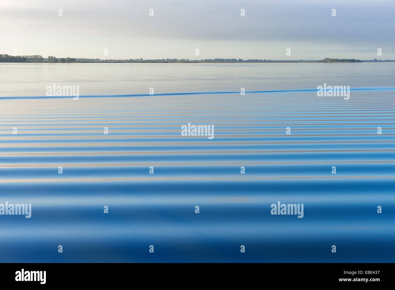 Wellen im Wasser, Born Auf Dem Darß, Barther Bodden, Fischland-Darß-Zingst, Mecklenburg-Vorpommern, Deutschland Stockfoto