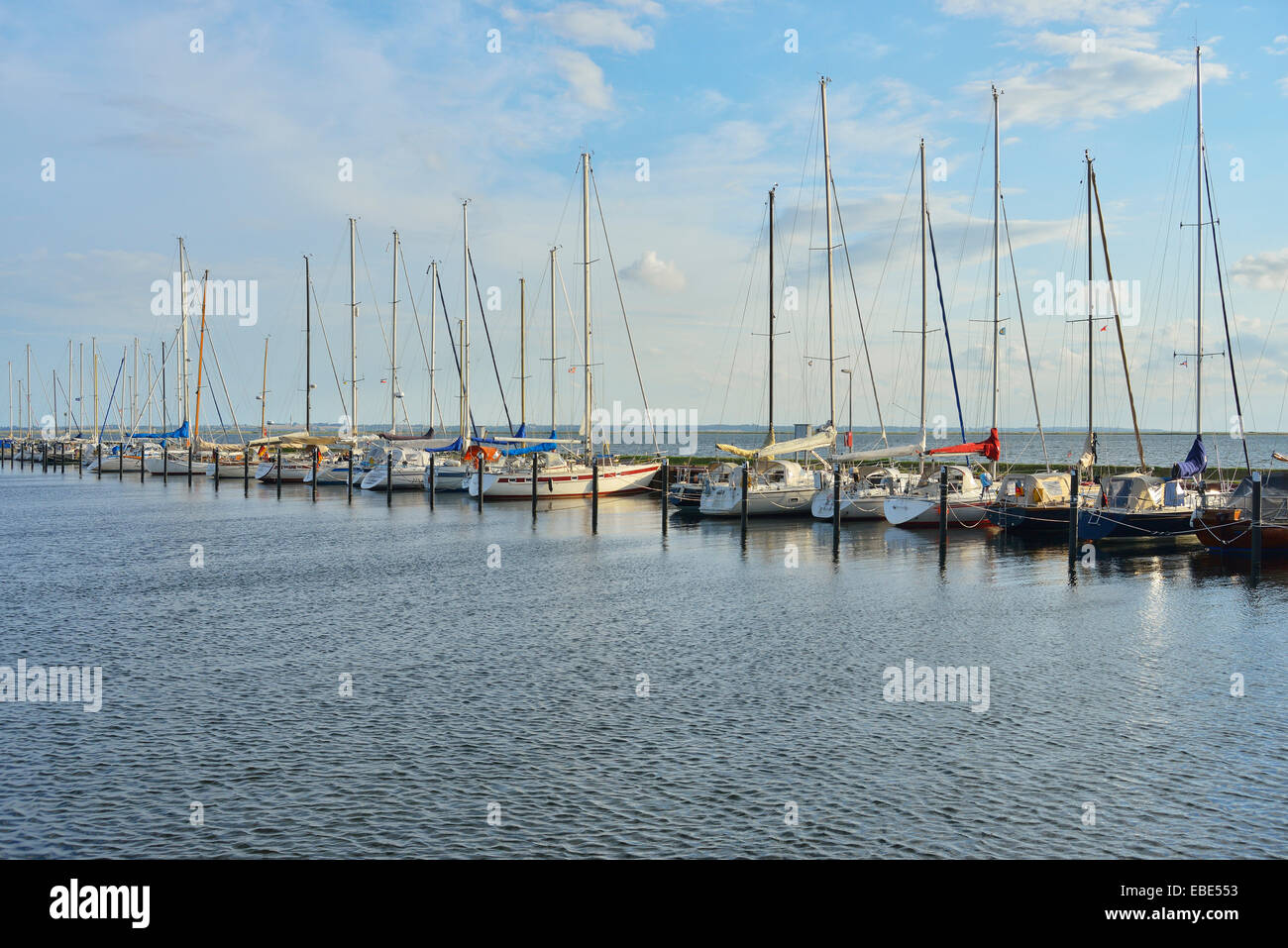 Marina mit Segelbooten, Hafen bei Orth, Schleswig-Holstein, Ostsee Insel, Fehmarn, Ostsee, Deutschland Stockfoto