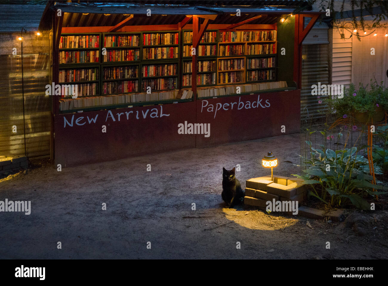 Buch-Scheune in Niantic CT Stockfoto