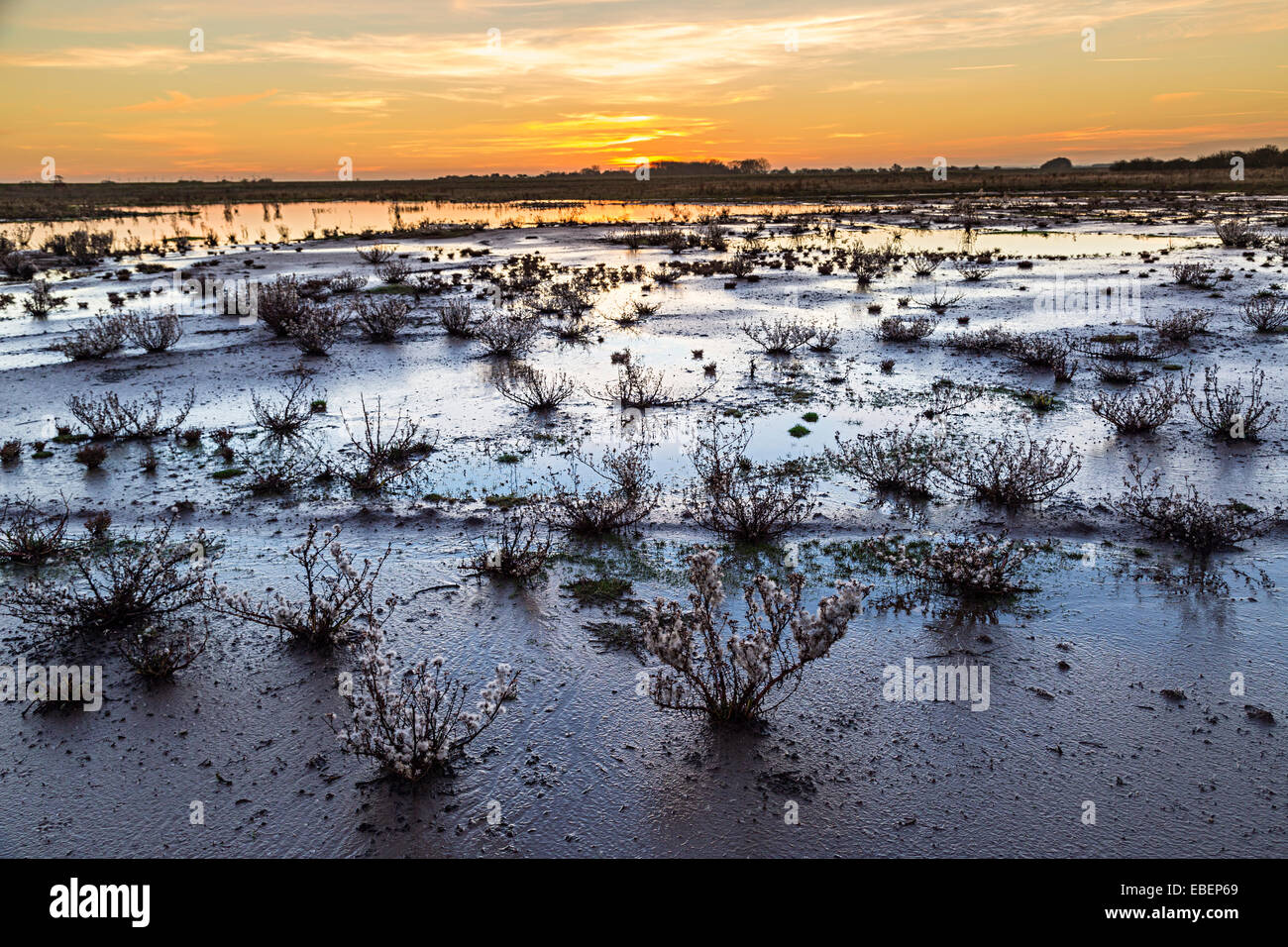 Schlammigen Boden bei Sonnenuntergang, Lincolnshire Fens, Donna Nook, England, UK Stockfoto