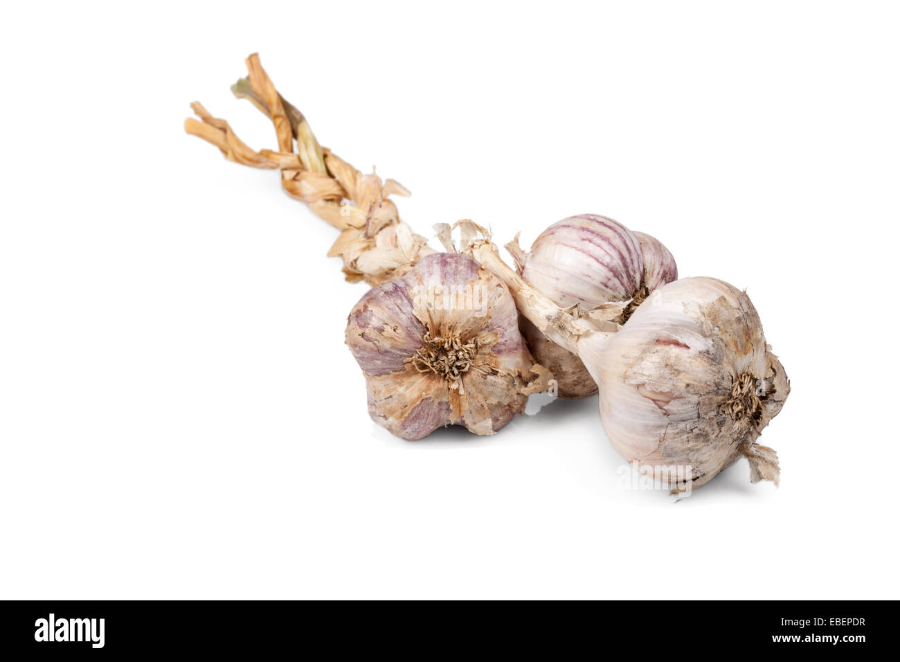 Reihe von Knoblauch Zwiebeln isoliert auf weißem Hintergrund Stockfoto