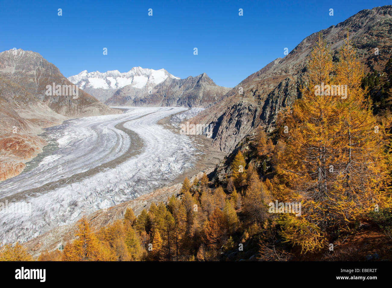 Aletsch Gletscher, Schweiz Stockfoto