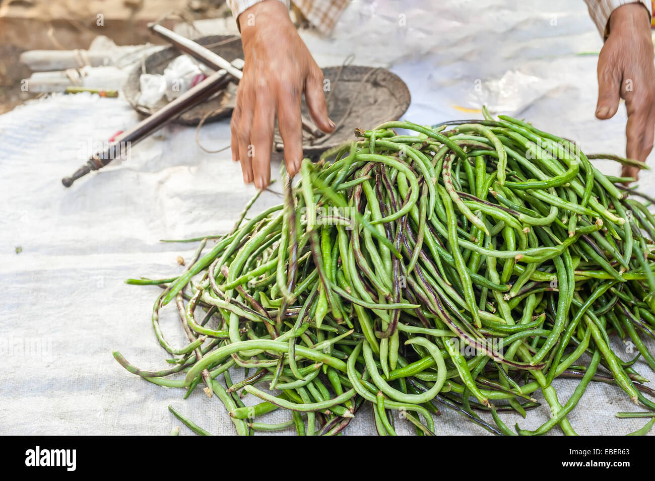 Lange Bohnen organischen lokalen Hof zum Verkauf an Outdoor-asiatischen Markt Stockfoto