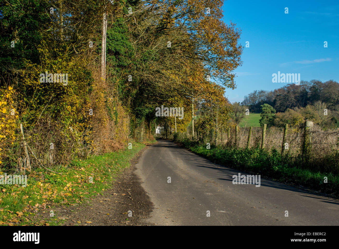Sonnigen Herbsttag in der Grafschaft Kent Stockfoto