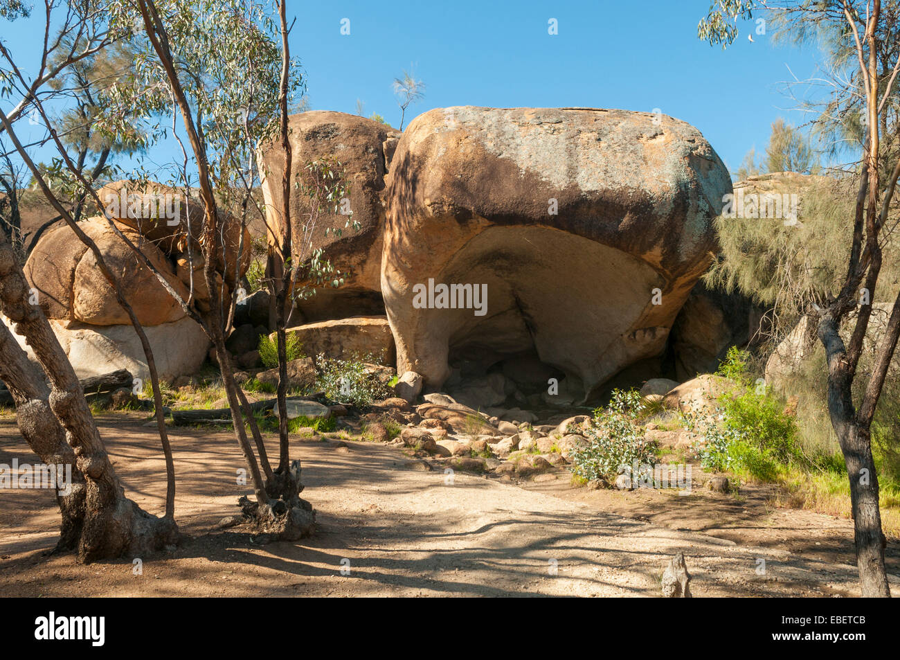 Hippo es Gähnen Rock, Hyden, WA, Australien Stockfoto