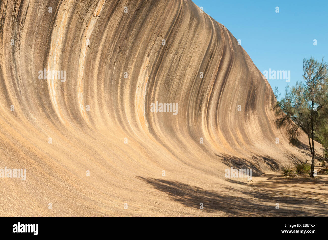 Wave Rock, Hyden, WA, Australien Stockfoto