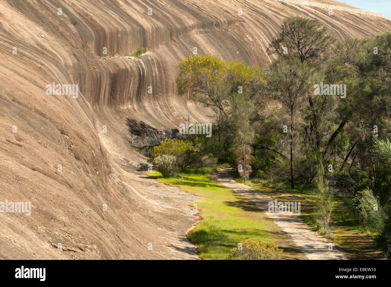 Wave Rock, Hyden, WA, Australien Stockfoto