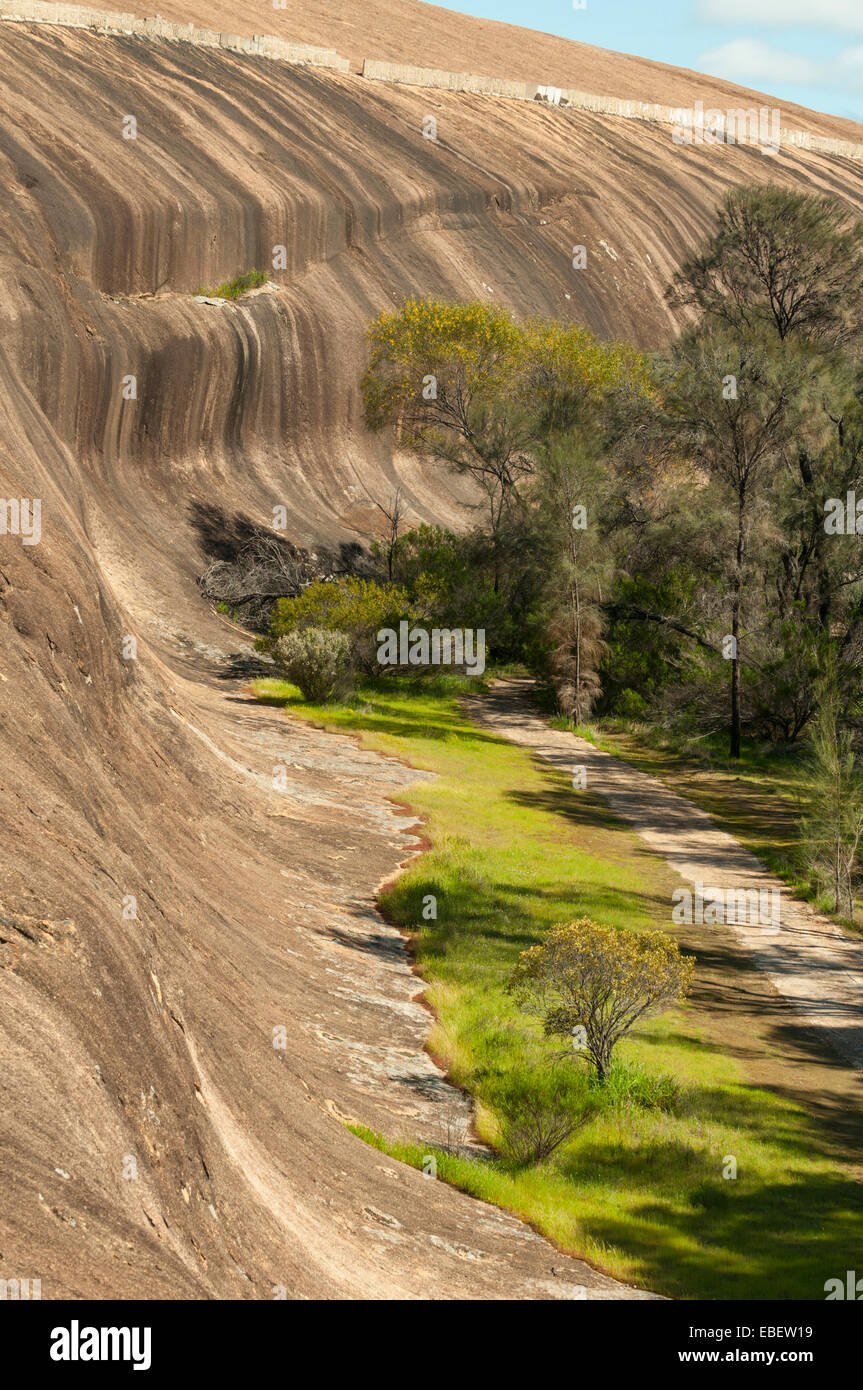 Wave Rock, Hyden, WA, Australien Stockfoto