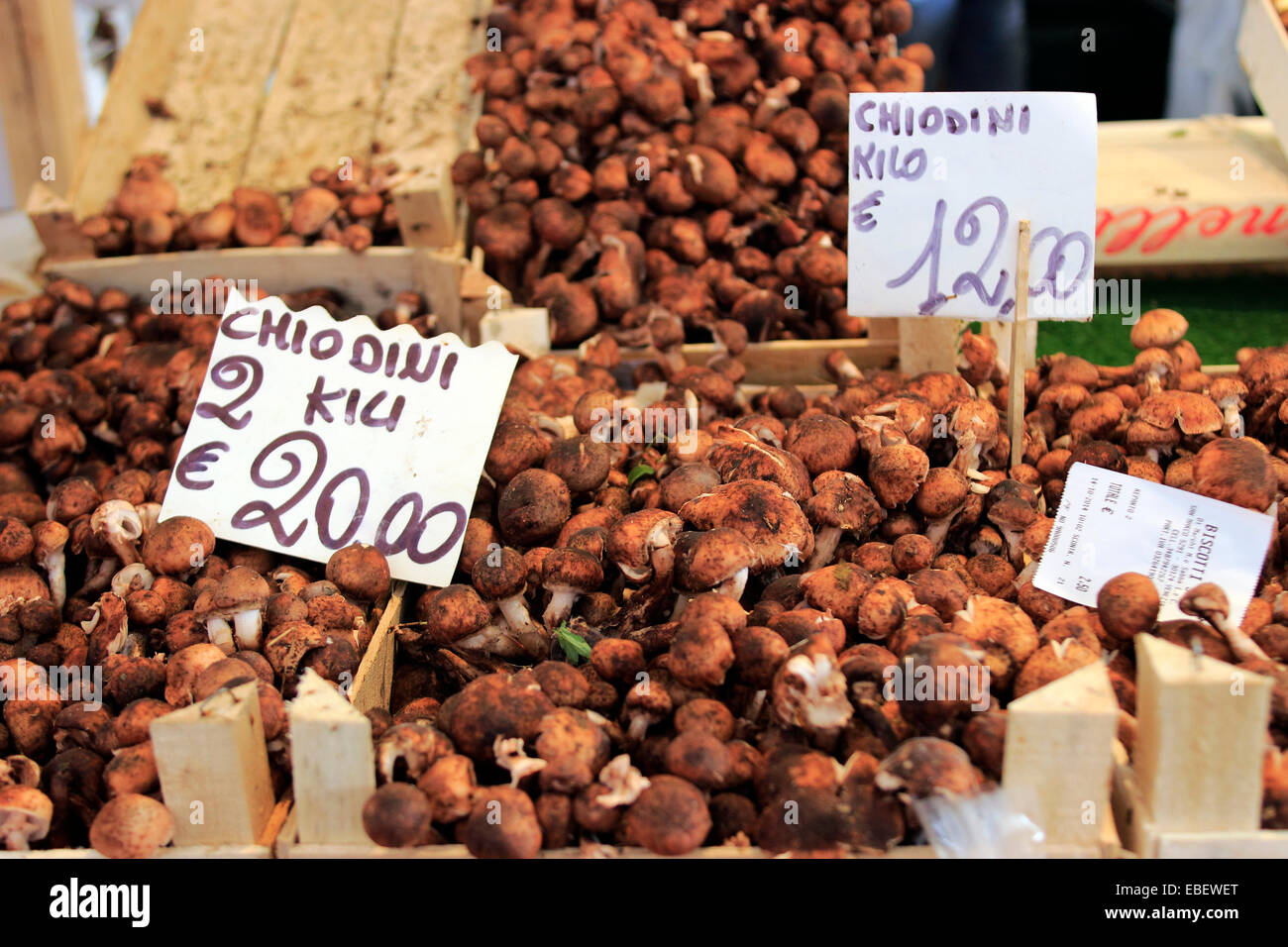 Venedig Italien Rialto Markt frisches Obst und Gemüse Stockfoto