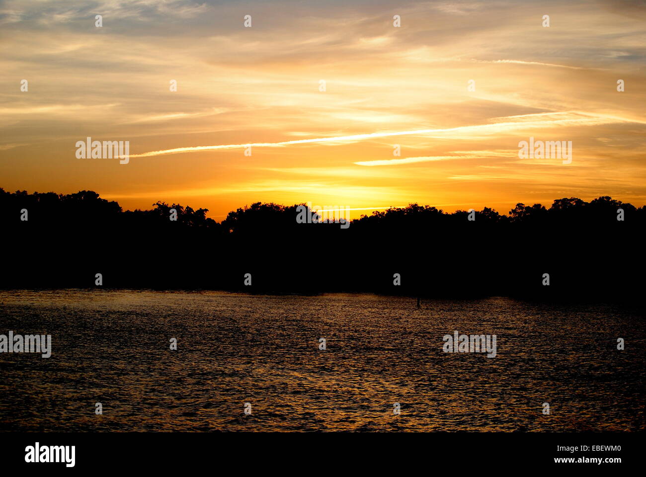 Sonnenuntergang über der Bucht Ballast Point Park, Tampa Florida Vereinigte Staaten von Amerika aus betrachtet. Stockfoto