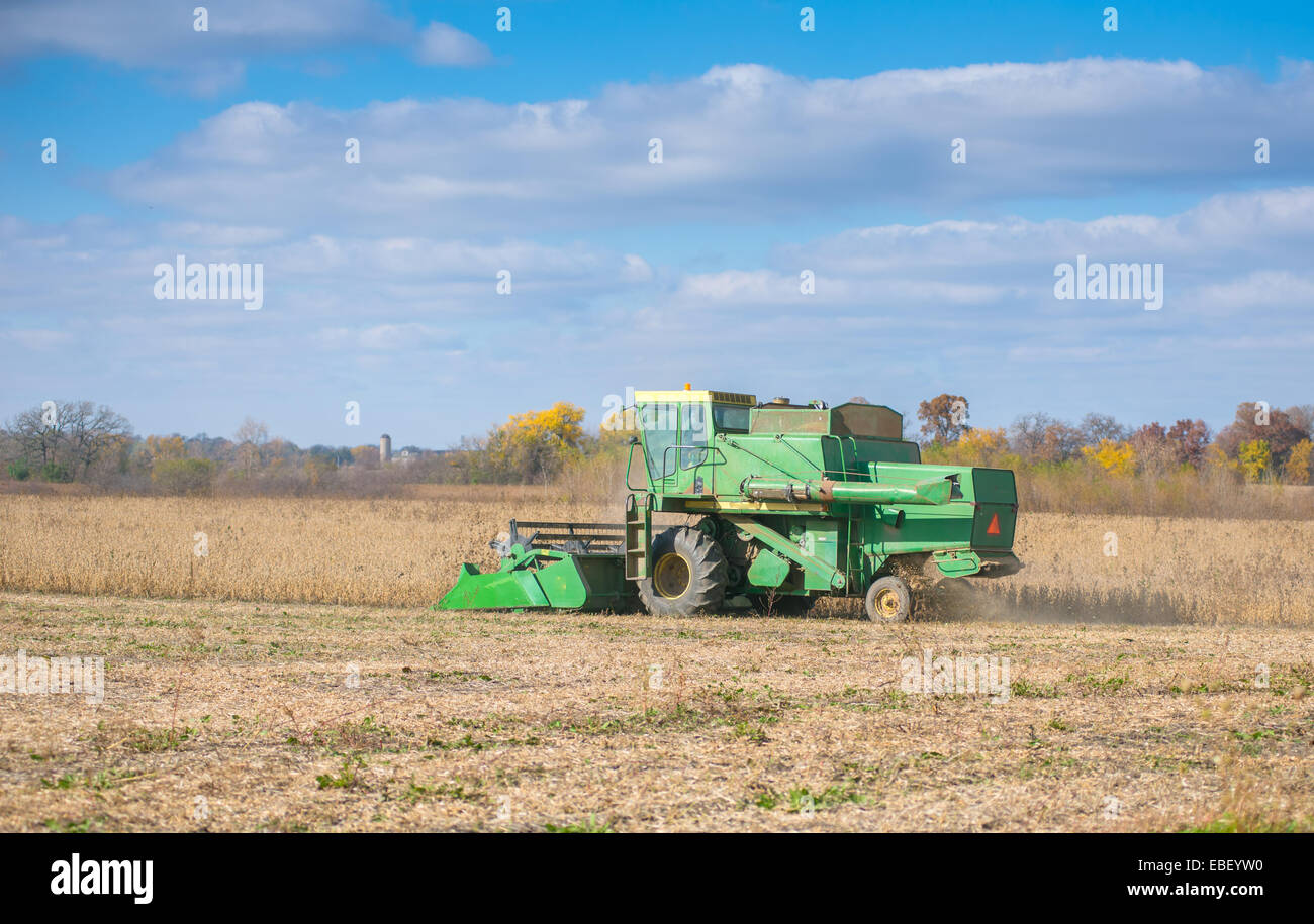 Landwirtschaft-Hintergrund. Übertragung von Korn zu Transportwagen Mähdrescher Stockfoto
