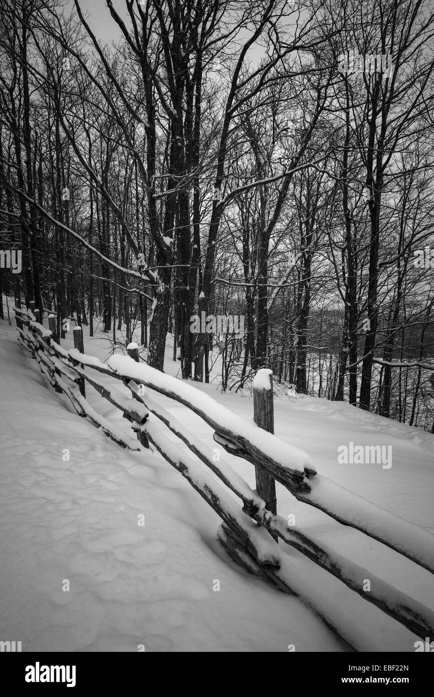 Winterlandschaft mit Schnee, der auf ländlichen Zaun und verschneiten Bäumen in schwarz / weiß Stockfoto